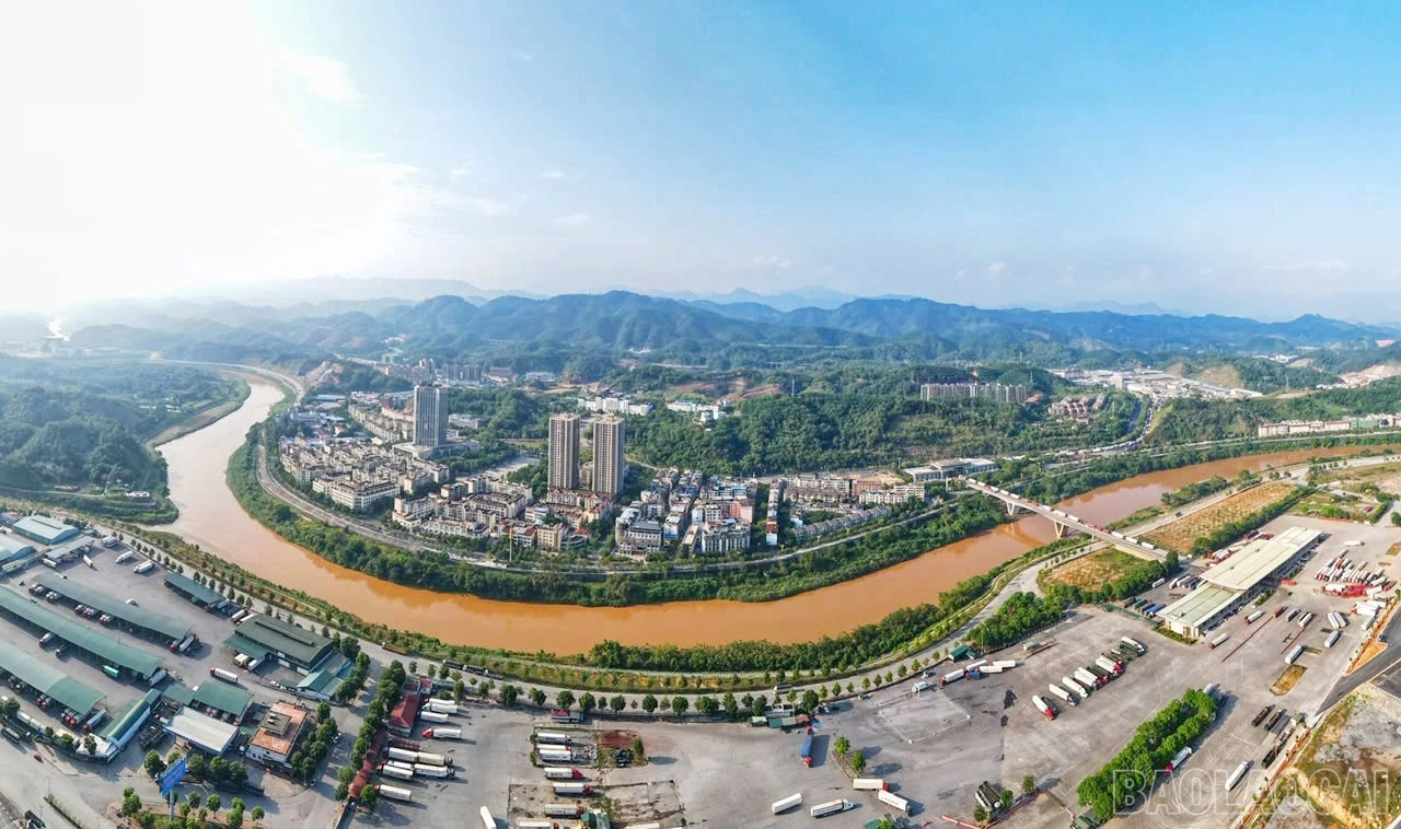 baolaocai-br_a1.jpg