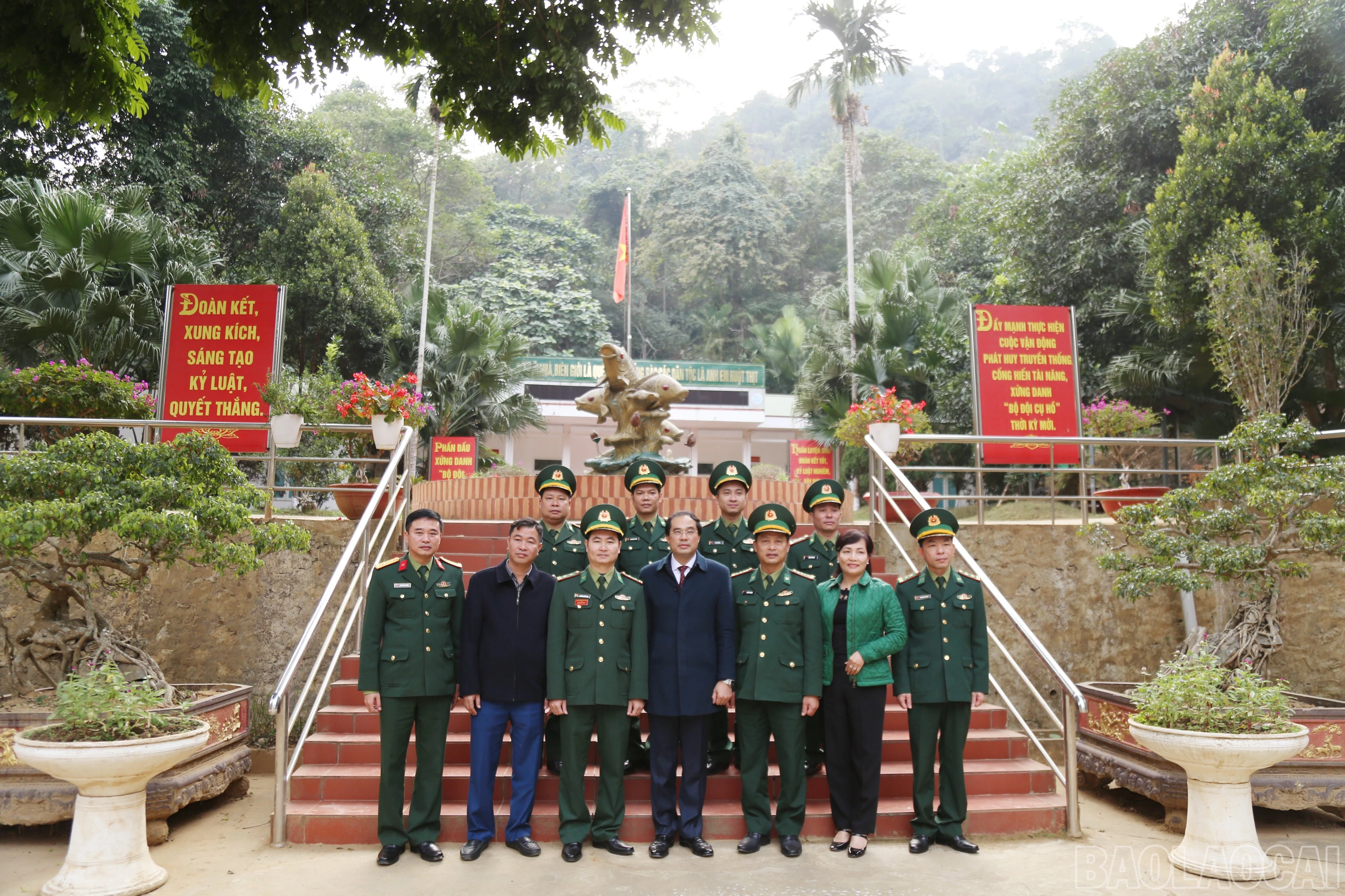 baolaocai-br_t6.jpg