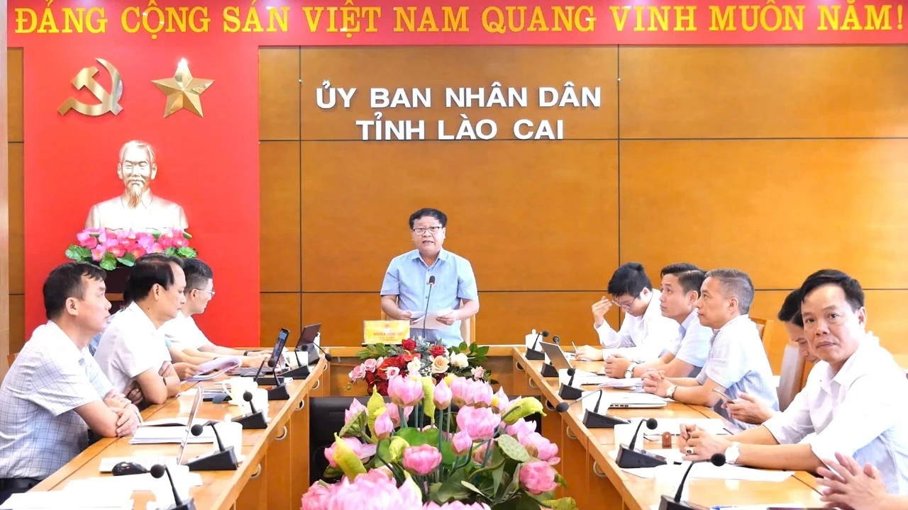 dt8.jpg