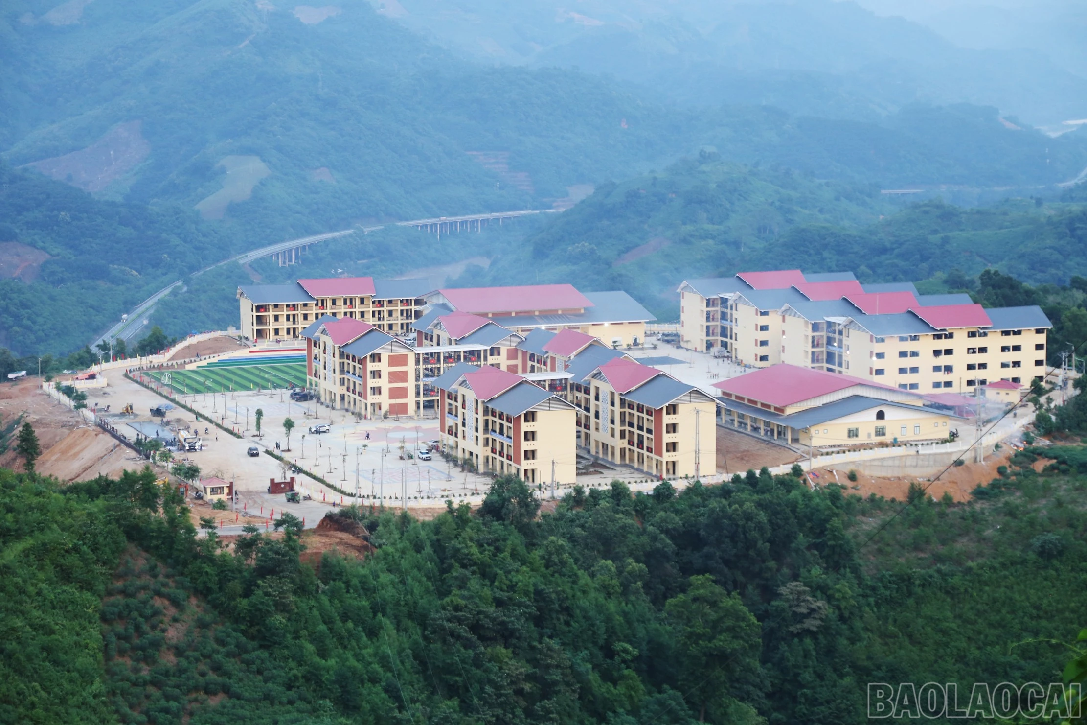 baolaocai-br_a1.jpg