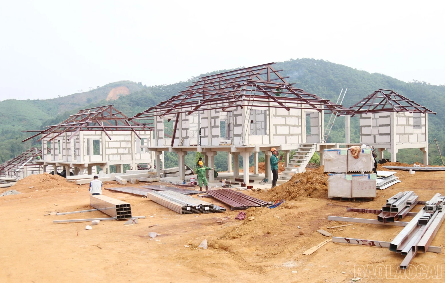 baolaocai-br_n13.jpg