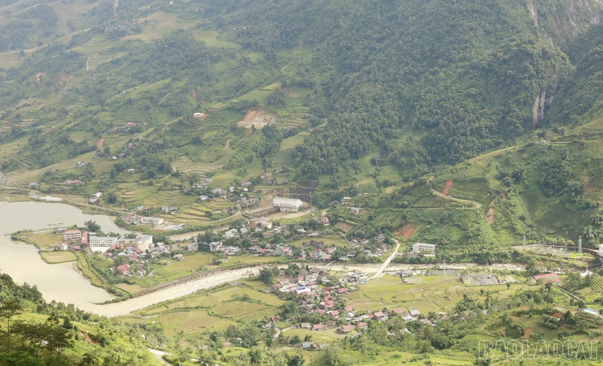 baolaocai-br_nd16.jpg