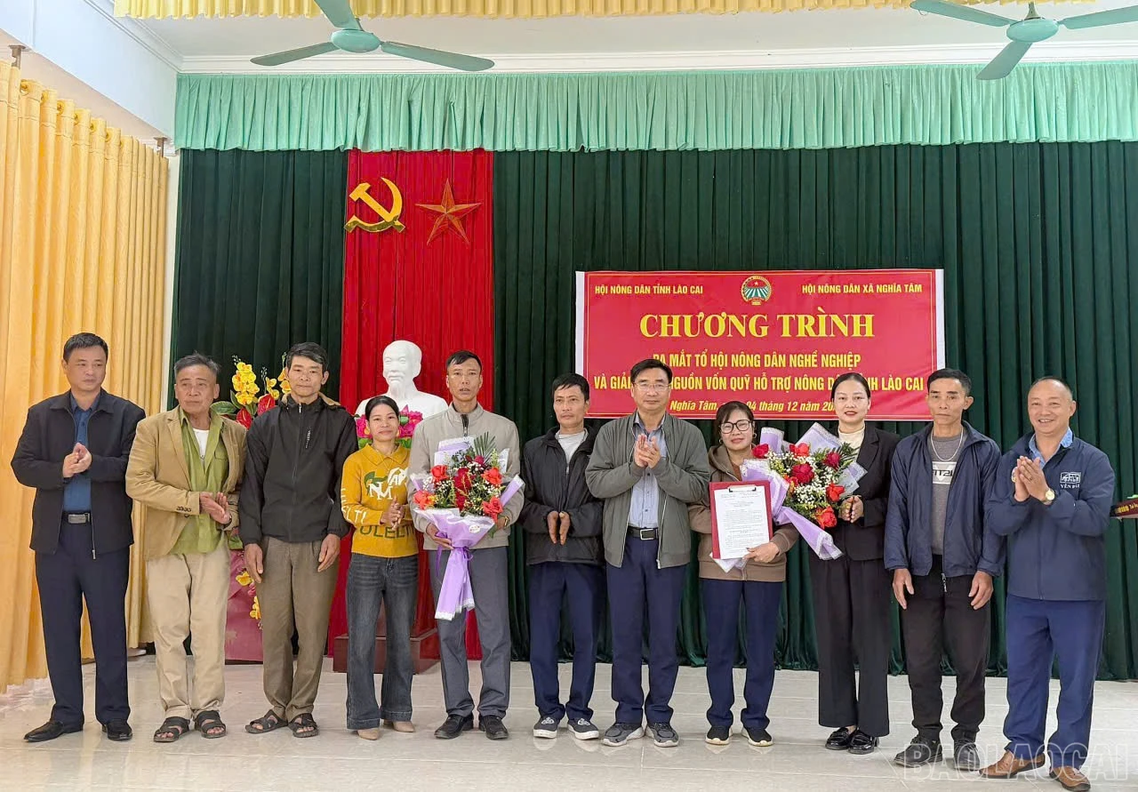 baolaocai-br_nd32.jpg
