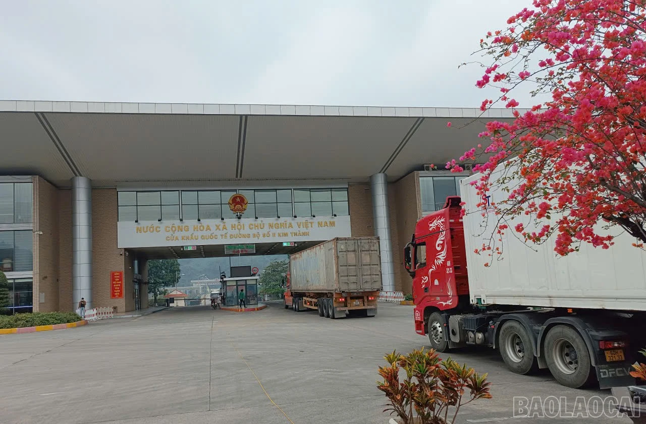baolaocai-br_z7385178975289-e8ef2b6ca46268823c6eef86bcf55436.jpg