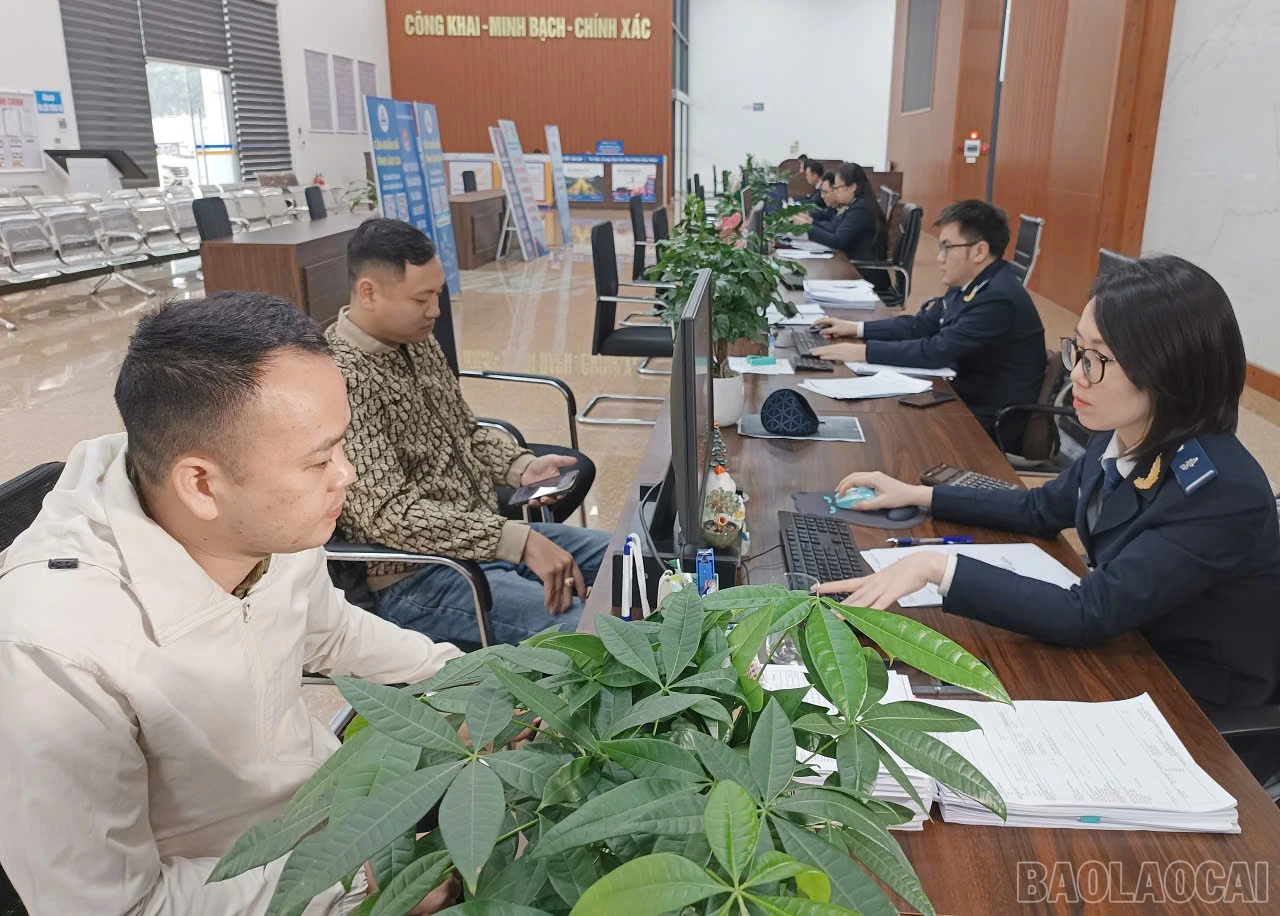 baolaocai-br_z7385178849438-6b7c4924d6813bf03ae3da2a2dcdc264.jpg