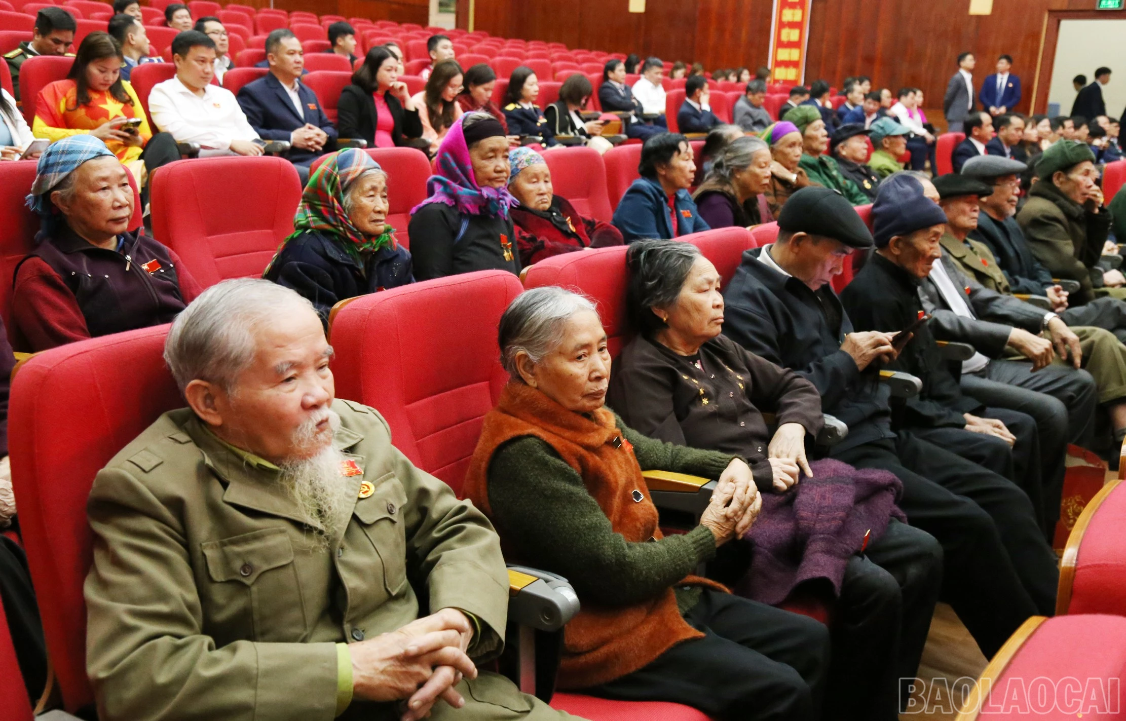 baolaocai-br_b7.jpg