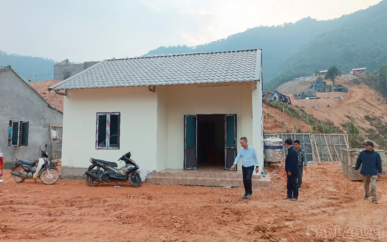baolaocai-br_k2.jpg