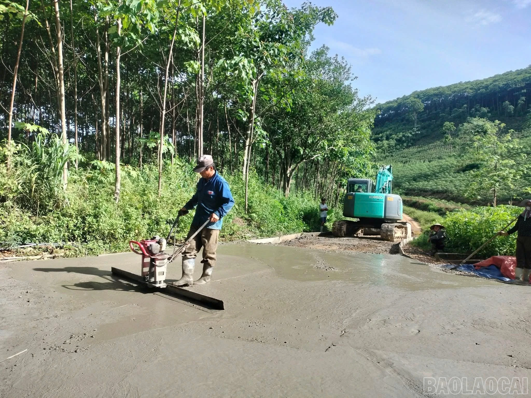 baolaocai-br_z7303624246895-e478256478b7a33618009f116a717fa7.jpg