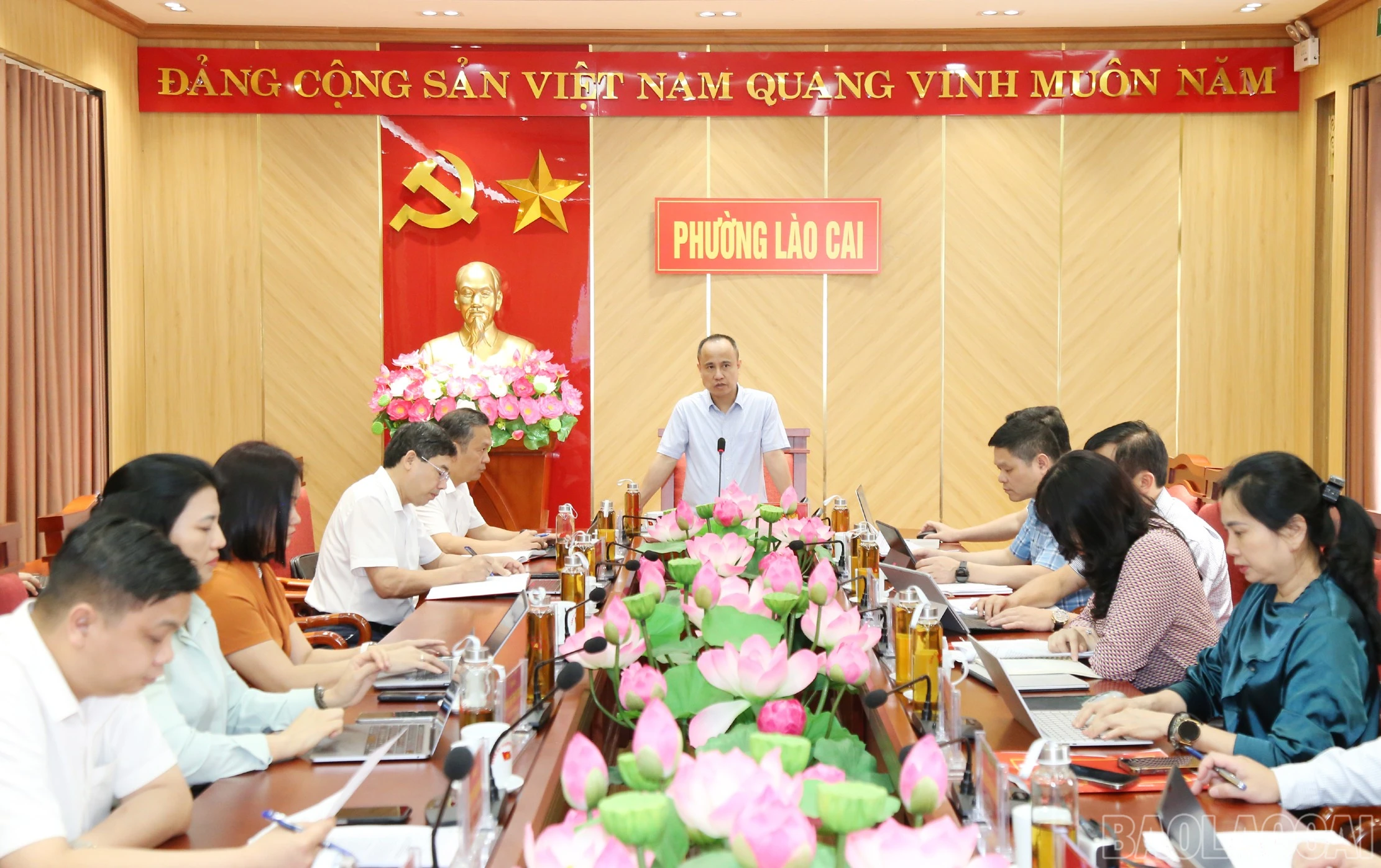 baolaocai-br_a2.jpg