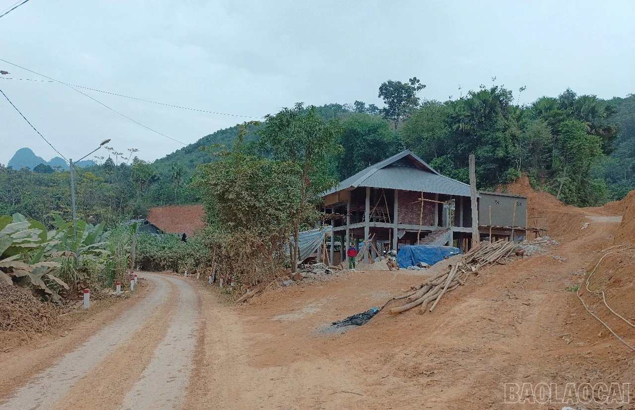 baolaocai-br_a28.jpg