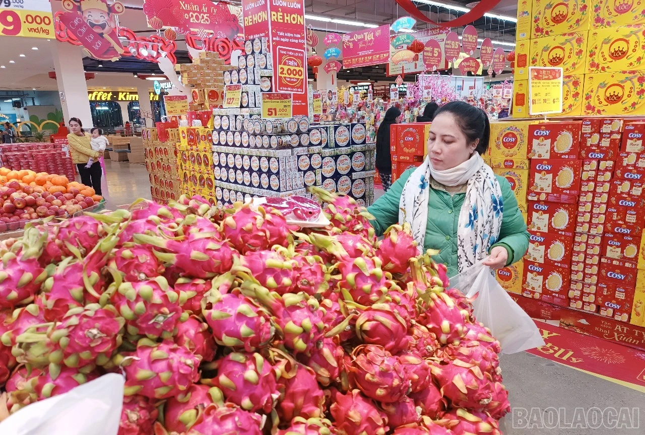 baolaocai-br_h1.jpg