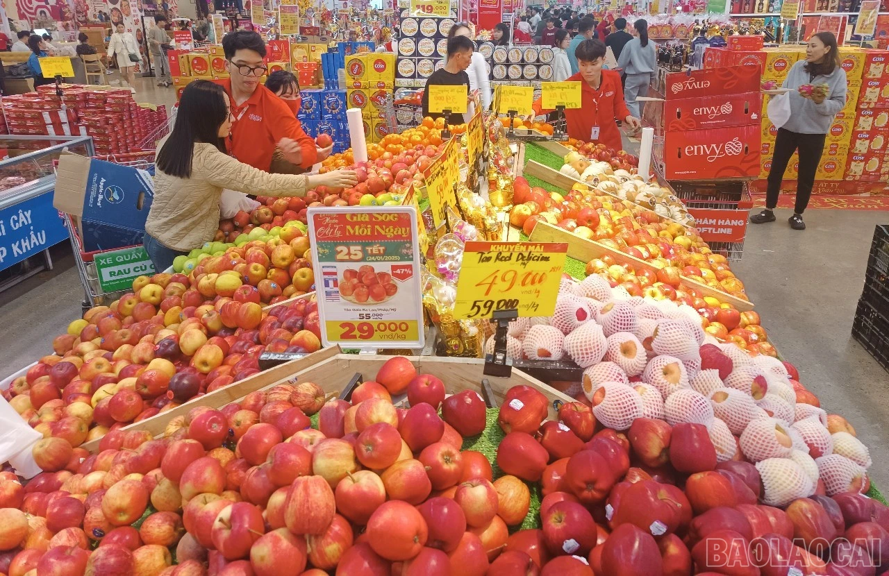 baolaocai-br_h5.jpg