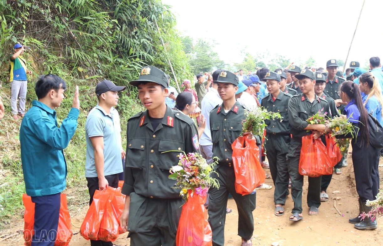 B3.jpg