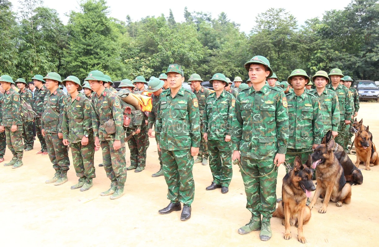 B23.jpg