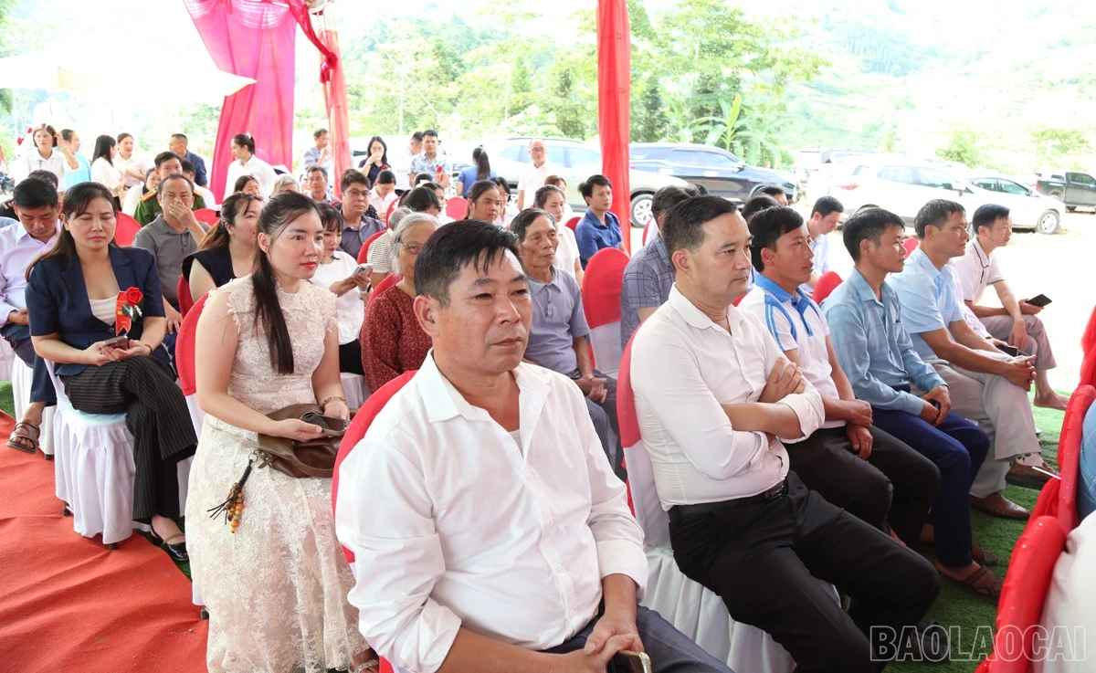 baolaocai-br_m1.jpg