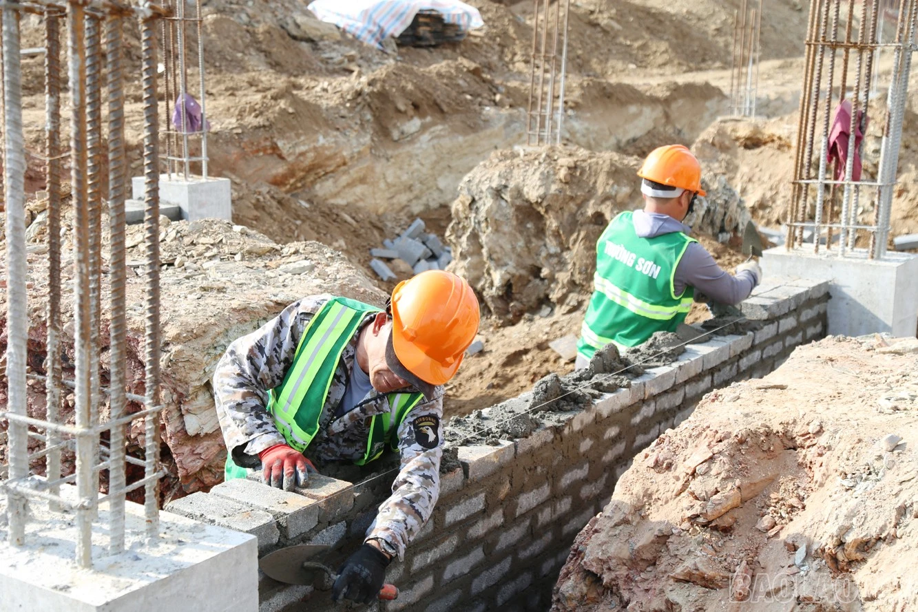 baolaocai-br_p1111.jpg