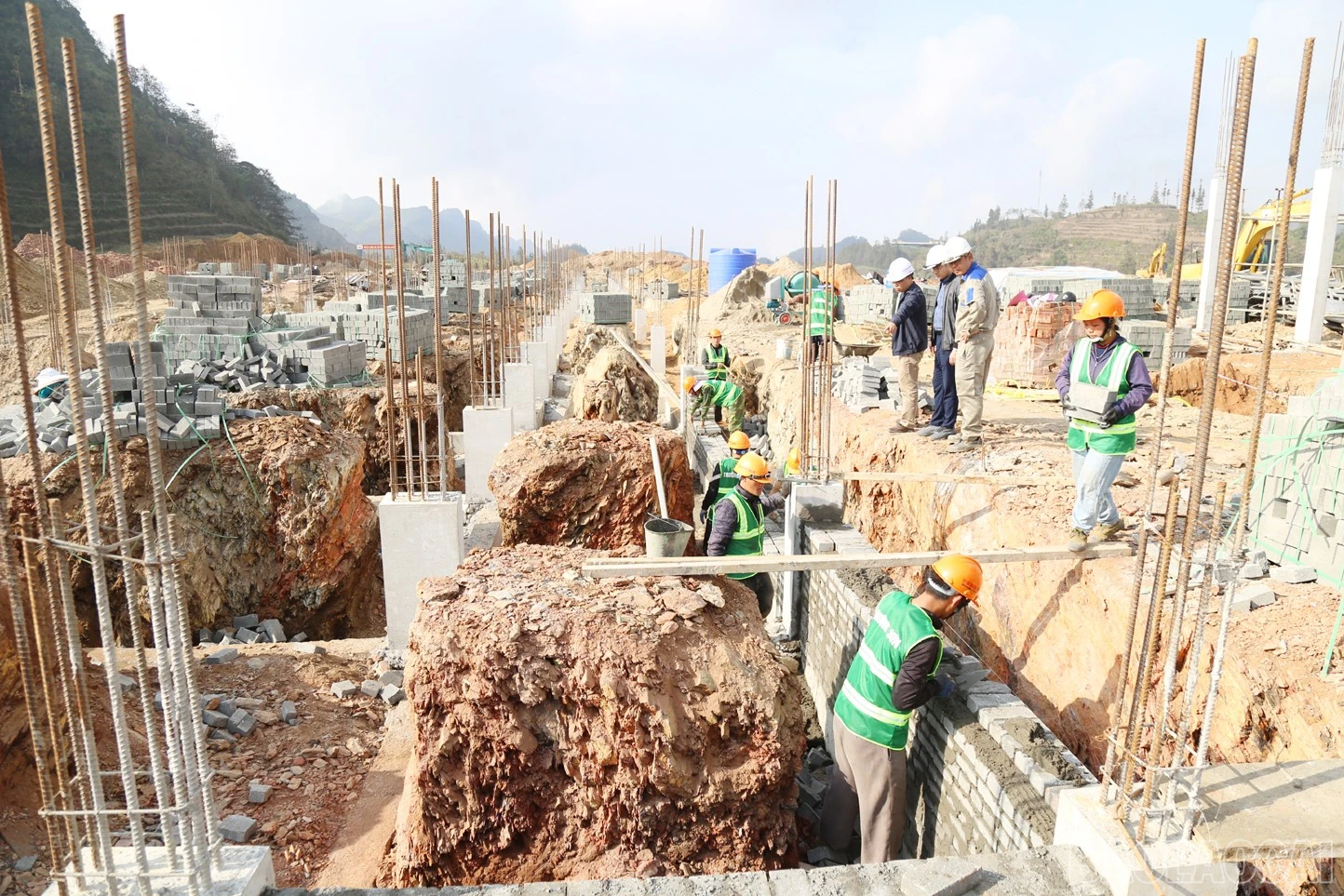 baolaocai-br_p12.jpg