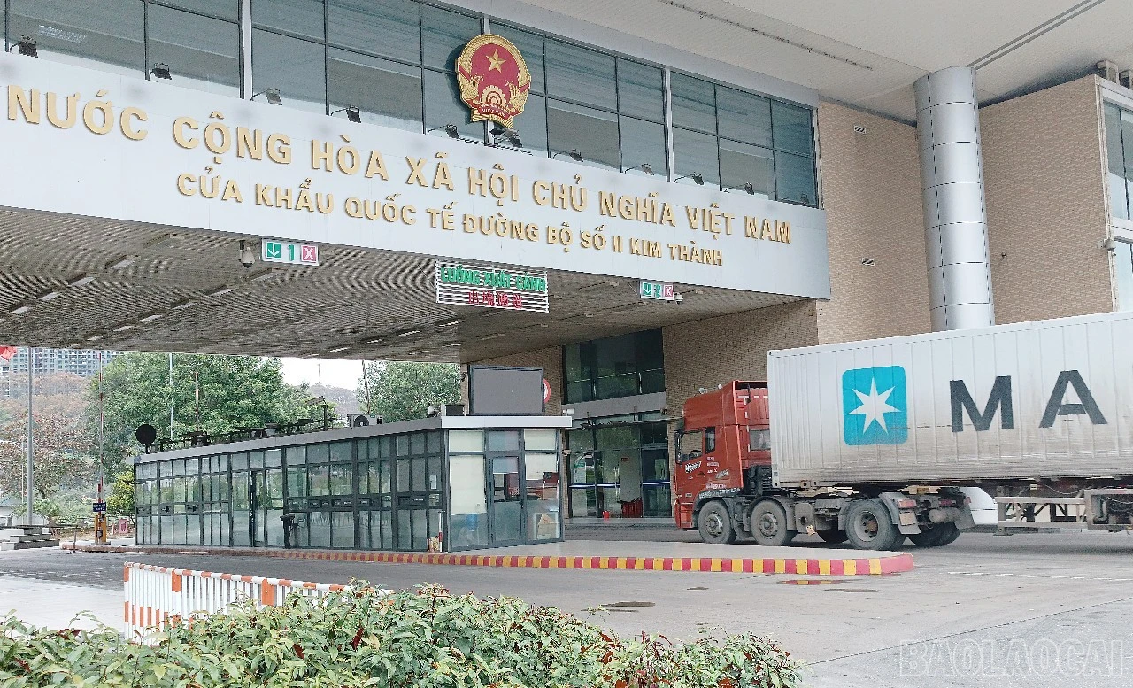 baolaocai-br_cn3.jpg