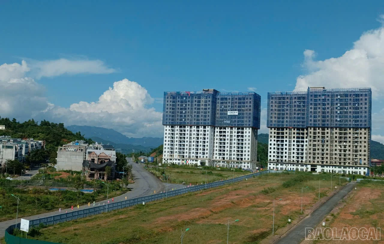 baolaocai-br_z7047292073751-a92638a05e3f29225a96bbe7a4f420c4.jpg