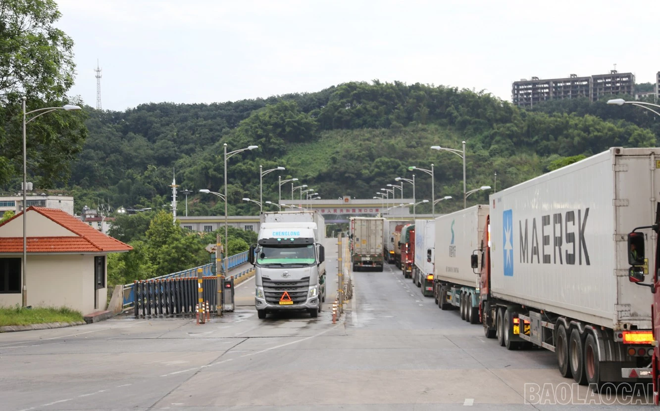 baolaocai-br_b10.jpg