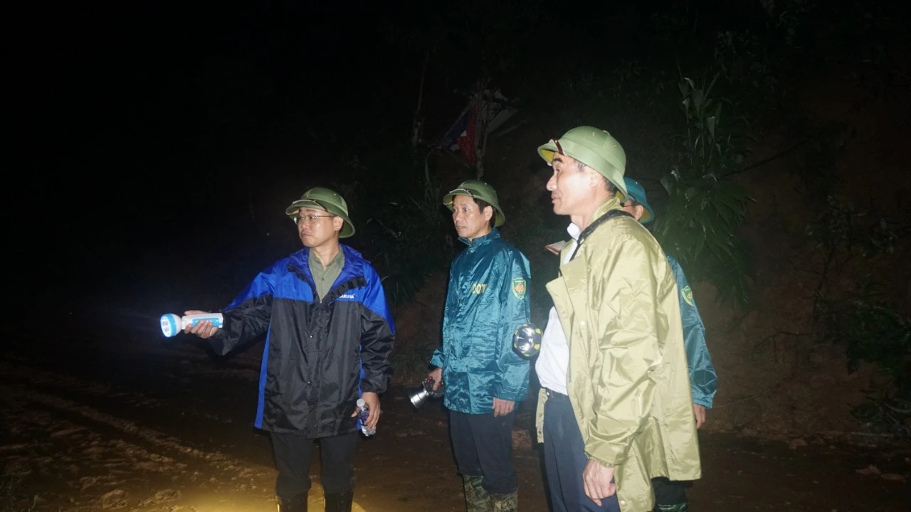 B8.jpg