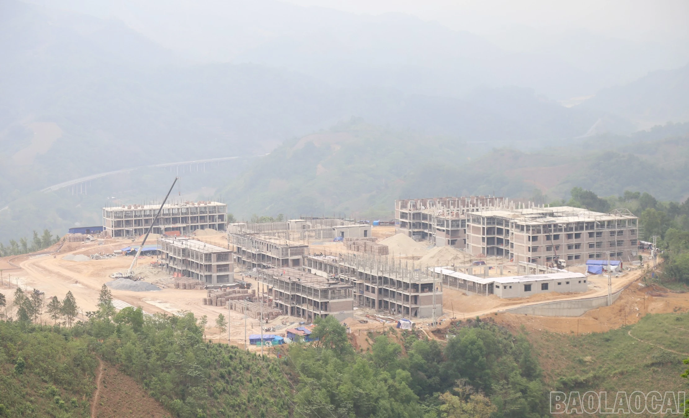 baolaocai-br_a6.jpg
