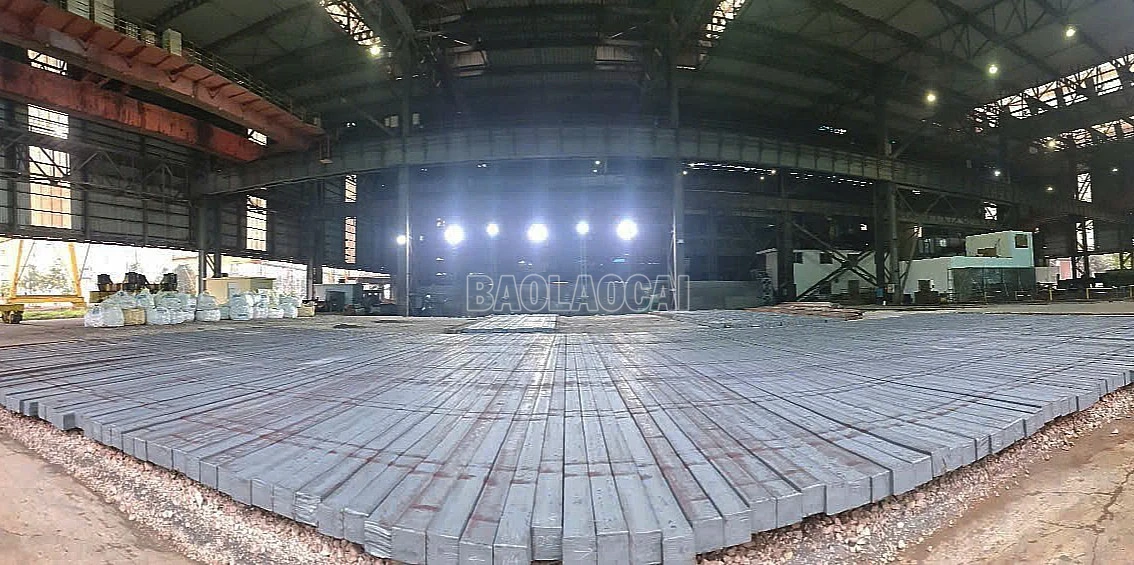 baolaocai-c_h7.jpg