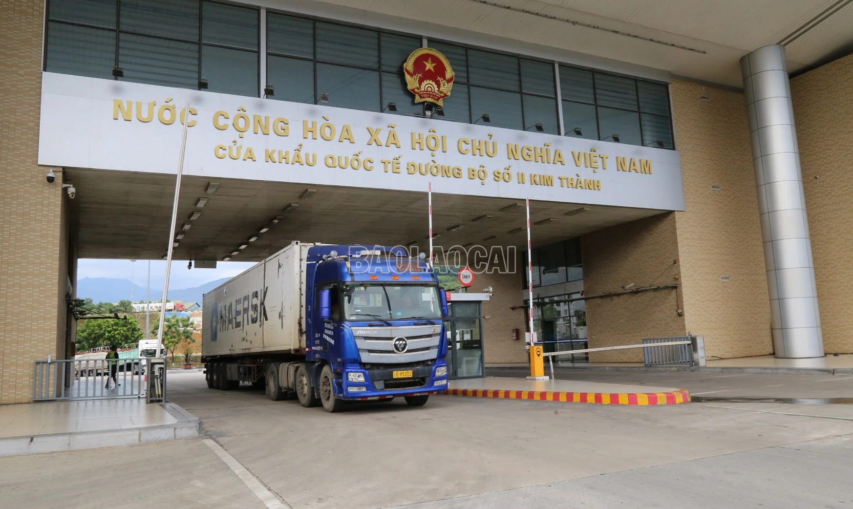 baolaocai-c_h13.jpg