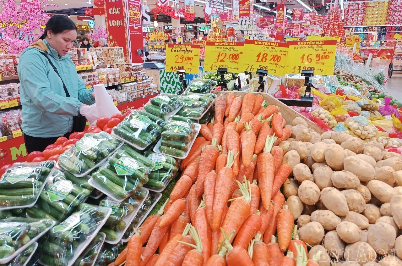 baolaocai-br_a111.jpg