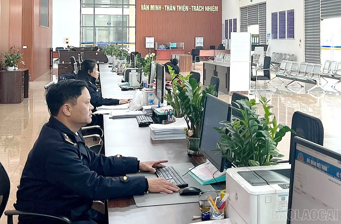 baolaocai-br_h111.jpg