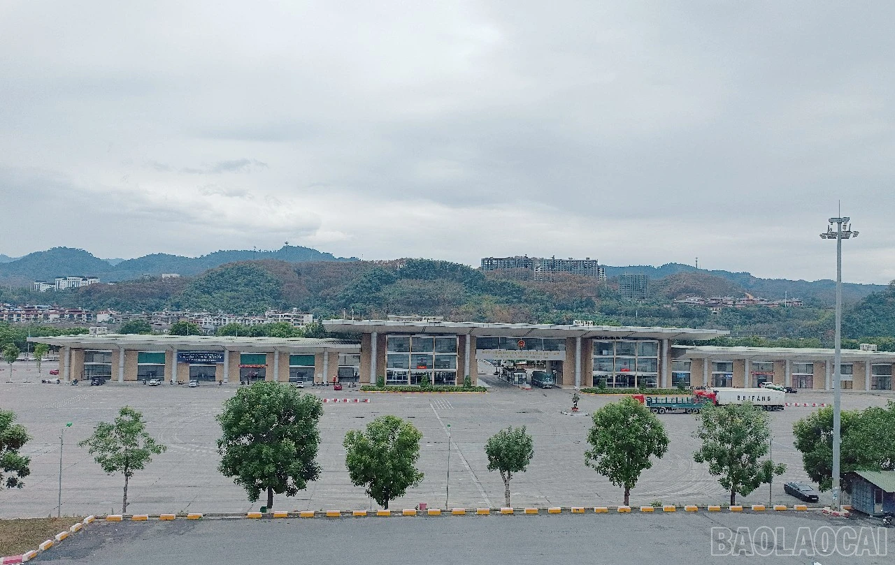 baolaocai-br_h15.jpg