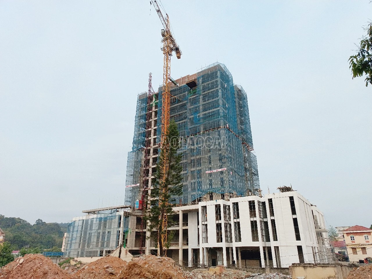 baolaocai-c_x1.jpg