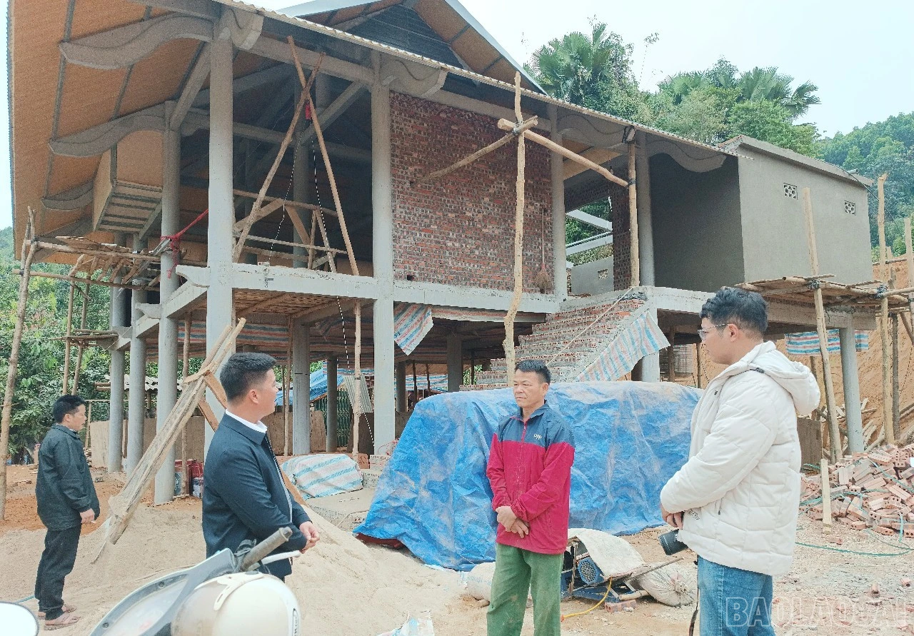 baolaocai-br_a30.jpg