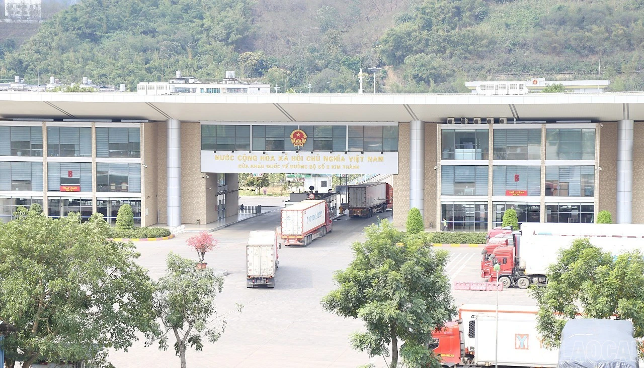 baolaocai-br_h12.jpg
