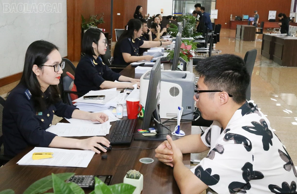 baolaocai-tl_hq3.jpg