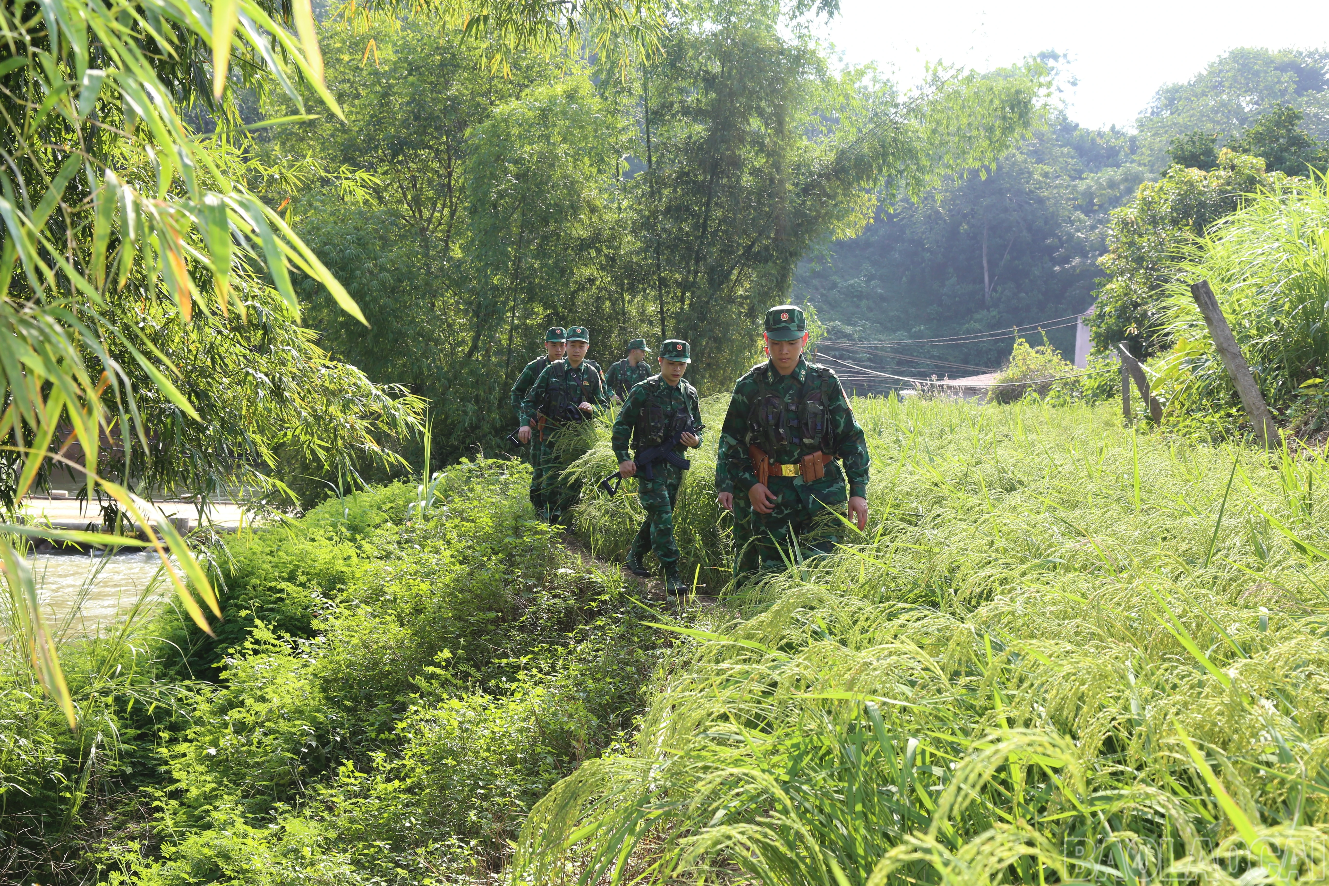 baolaocai-br_img-0877.jpg