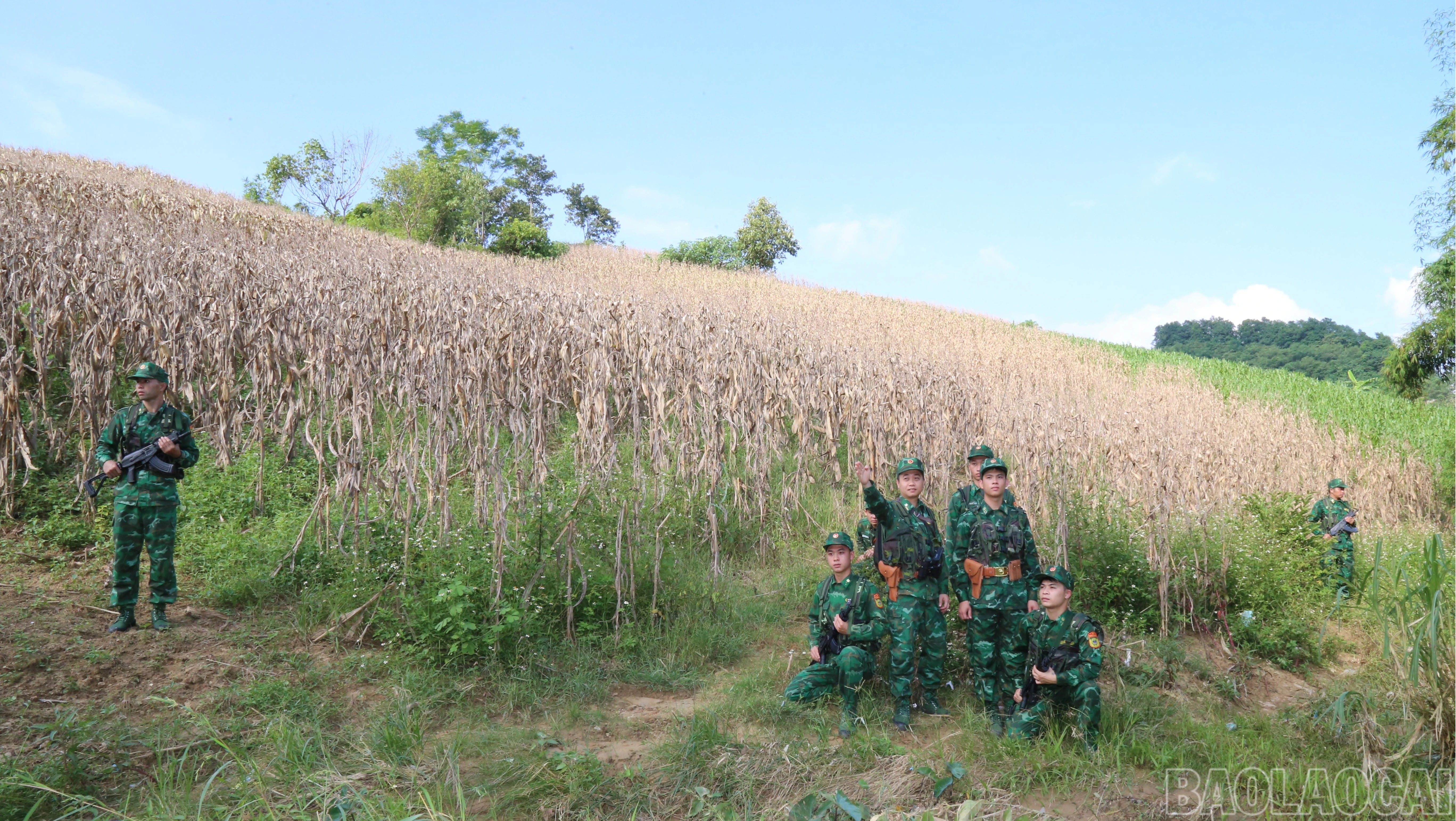 baolaocai-br_br-img-0911.jpg