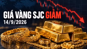 Giá vàng sáng 14/9 biến động trái chiều, SJC giảm 300.000 đồng/lượng