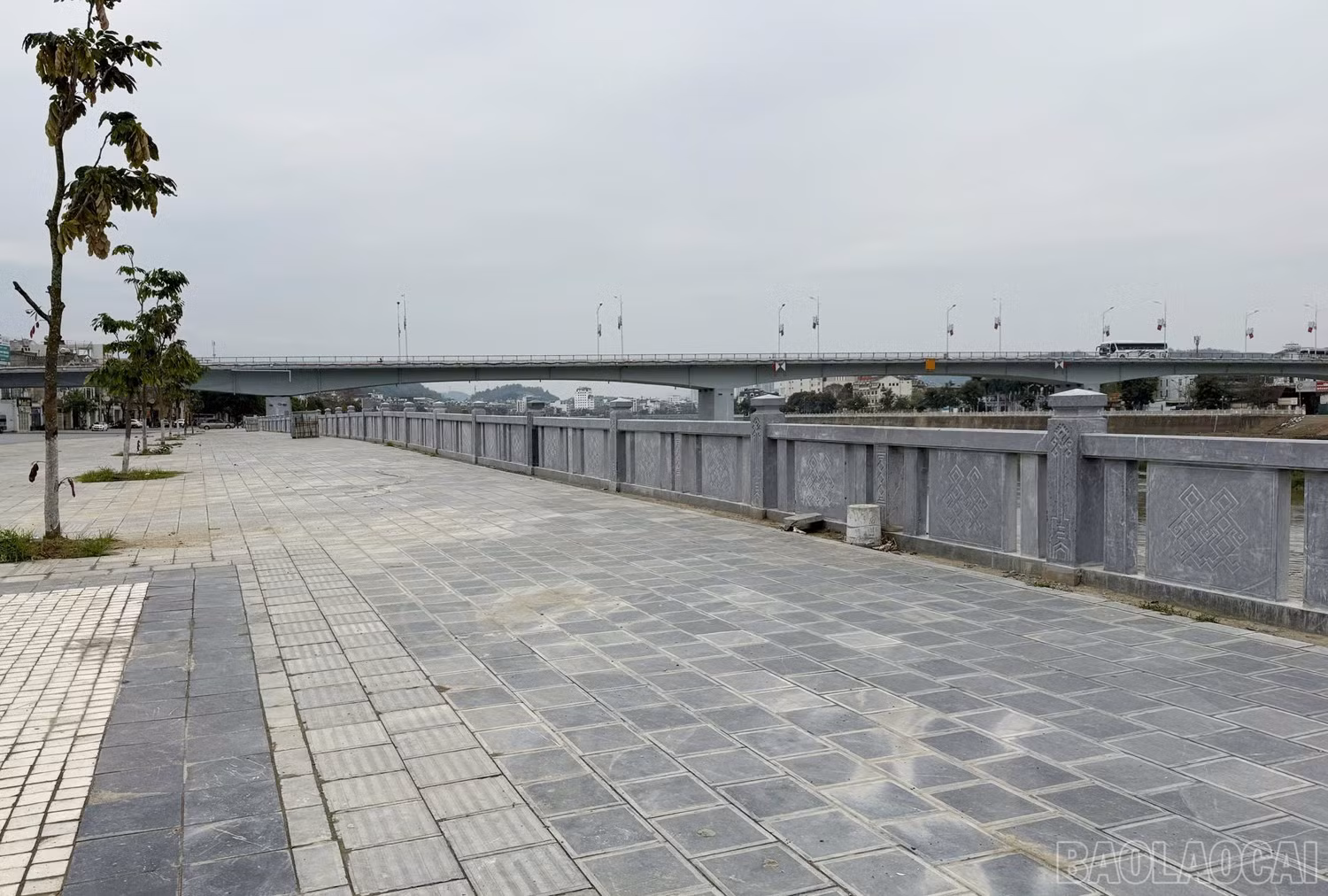 baolaocai-br_z6421706122902-9ce4cd48ec7a394b7380af1c28570a7d.jpg