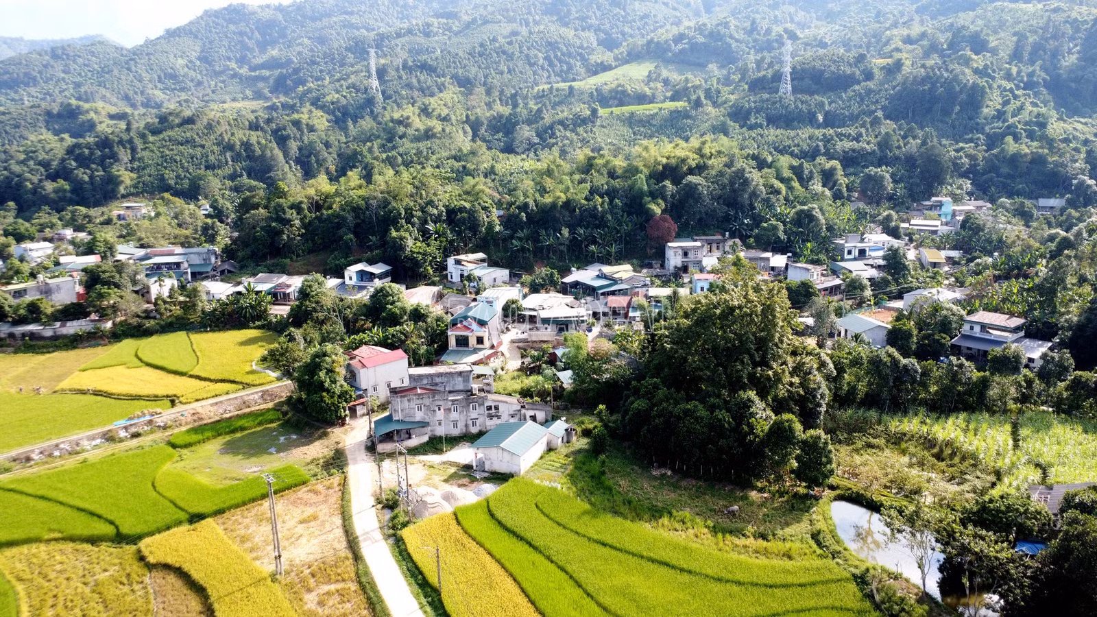 baolaocai-c_dji-0415.jpg
