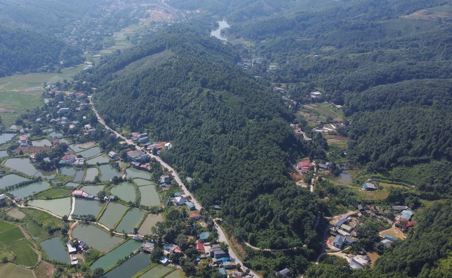 dji-0611.jpg