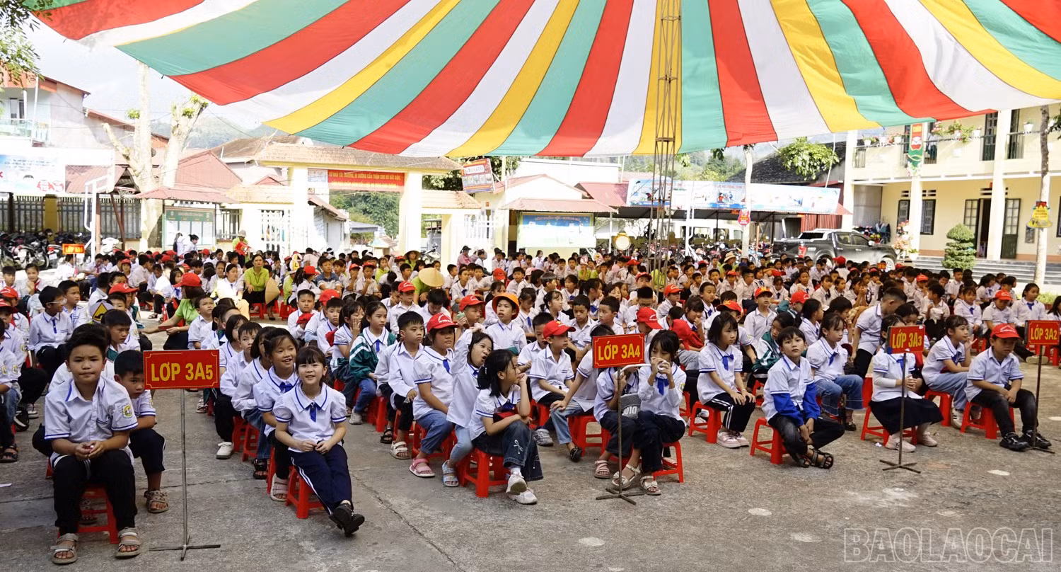 baolaocai-br_dsc5622.jpg