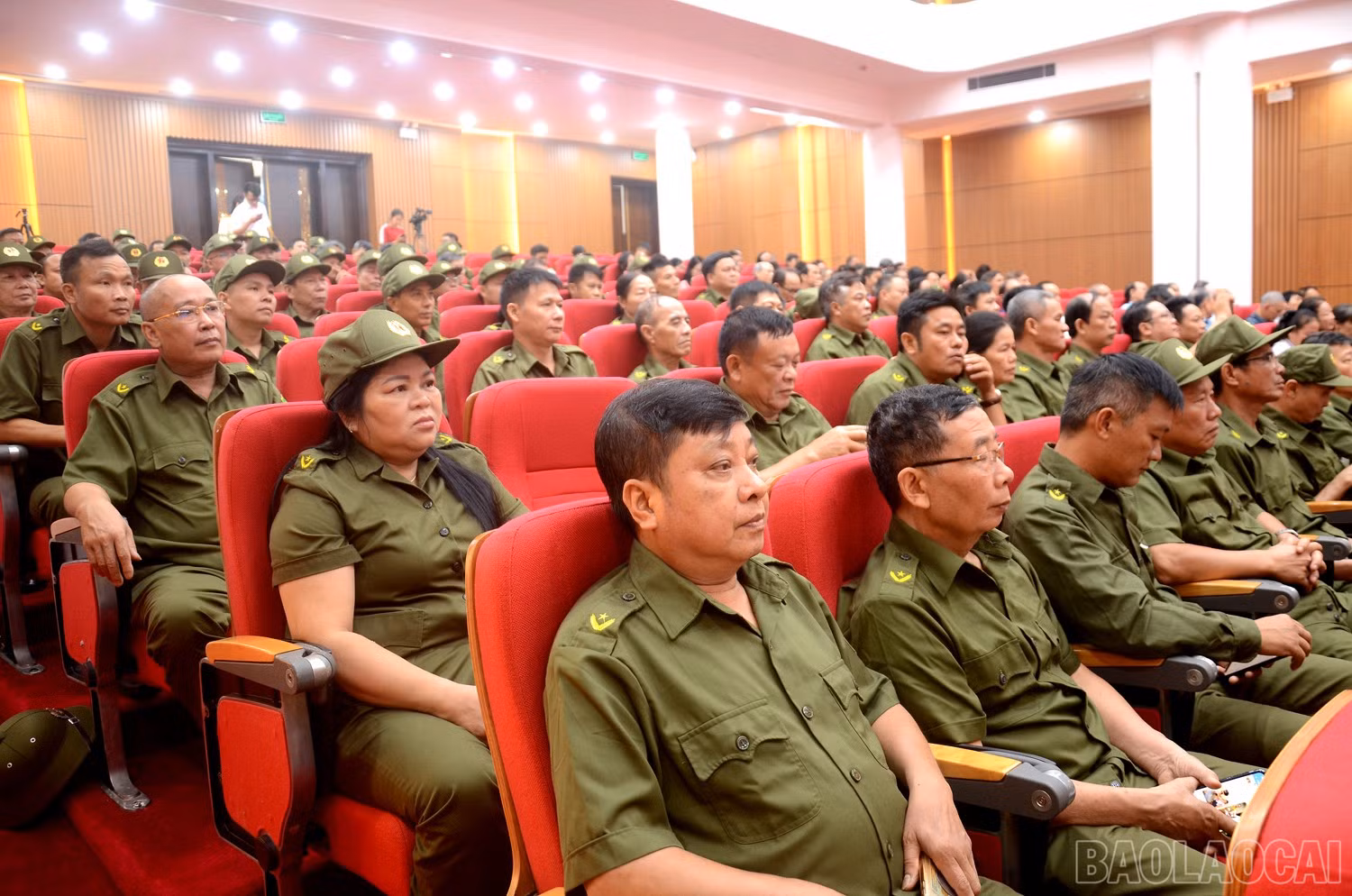 baolaocai-br_dsc-3866.jpg