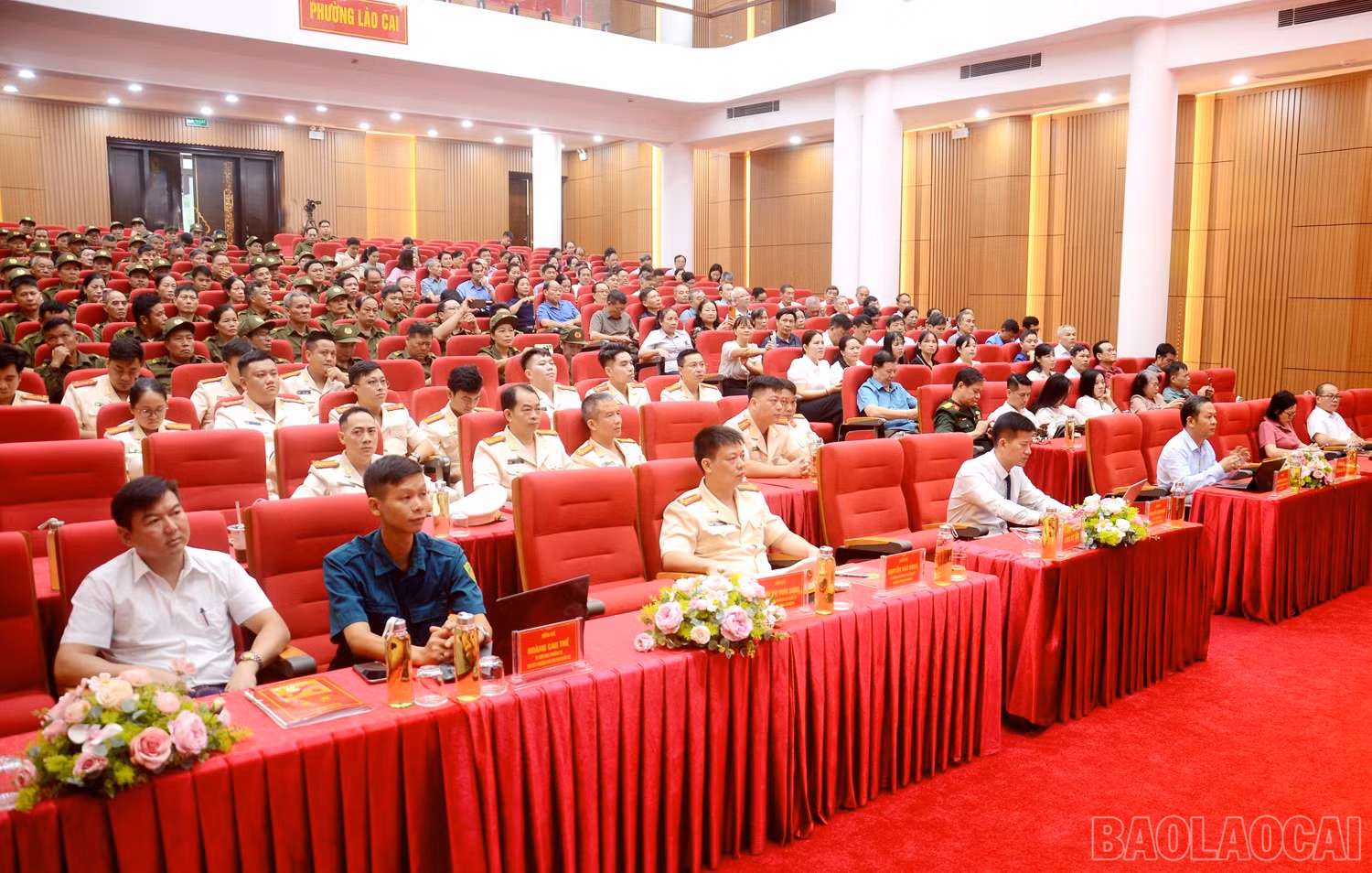 baolaocai-br_dsc-3860.jpg