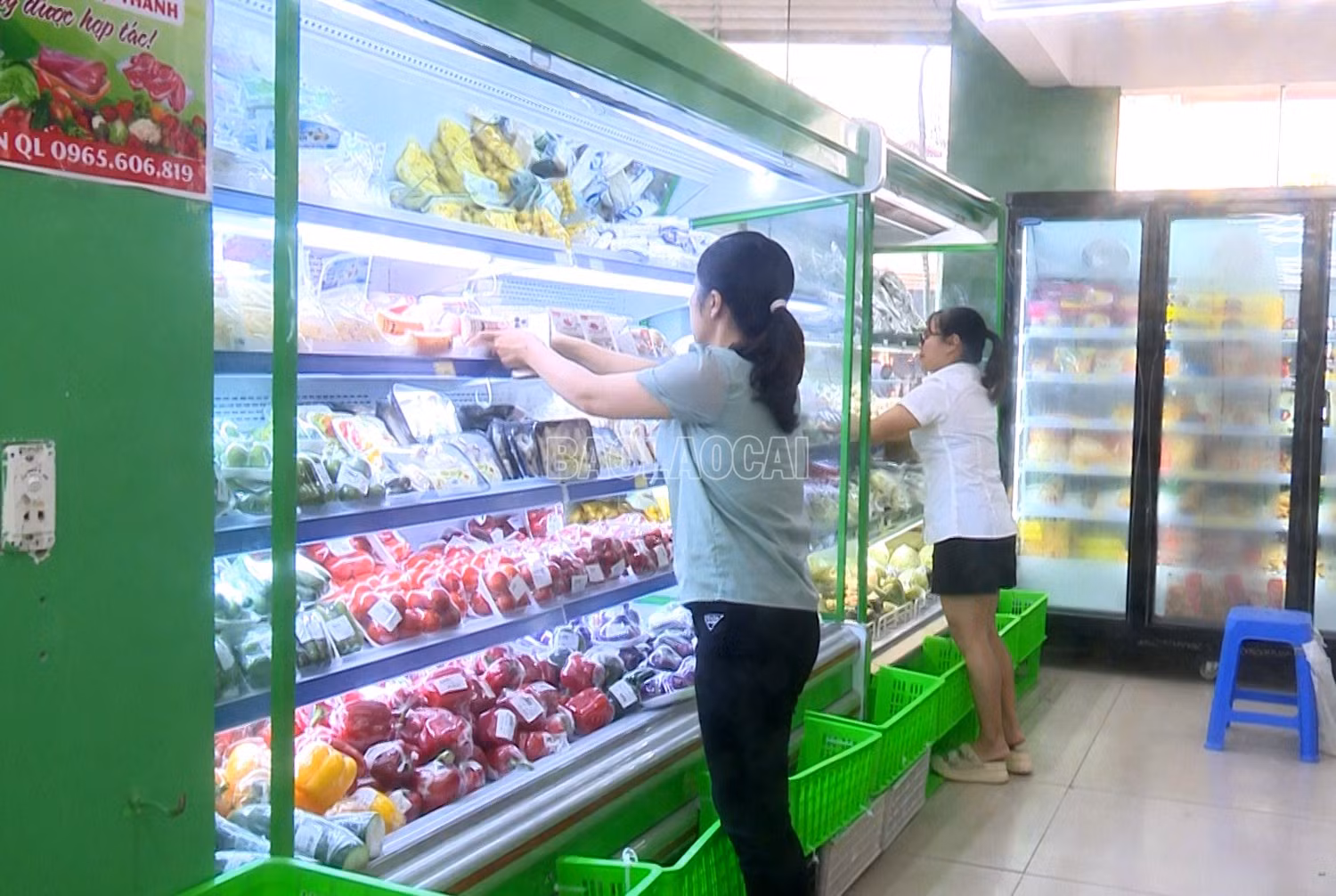 baolaocai-c_a1.jpg