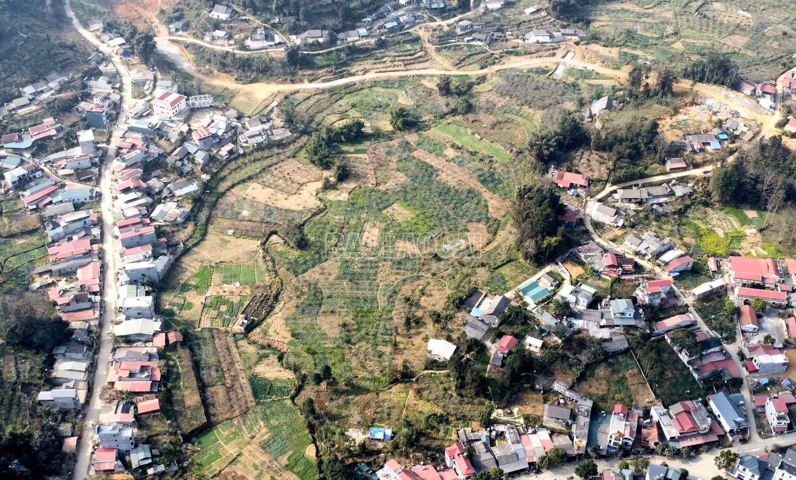 baolaocai-c_z7735511319521-ed3d95172c54198412b77d05825bd70f.jpg