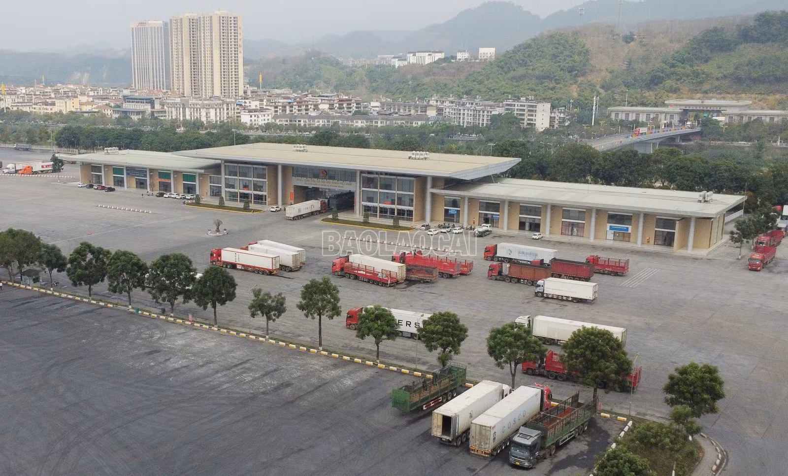 baolaocai-c_dji-0948.jpg