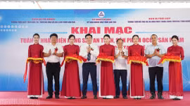 Lào Cai quảng bá nông sản an toàn, sản phẩm OCOP tại Nghệ An