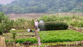 Sông Hồng kể chuyện nhà nông