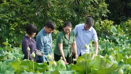 Việt Hồng đón hơn 24.000 lượt khách du lịch